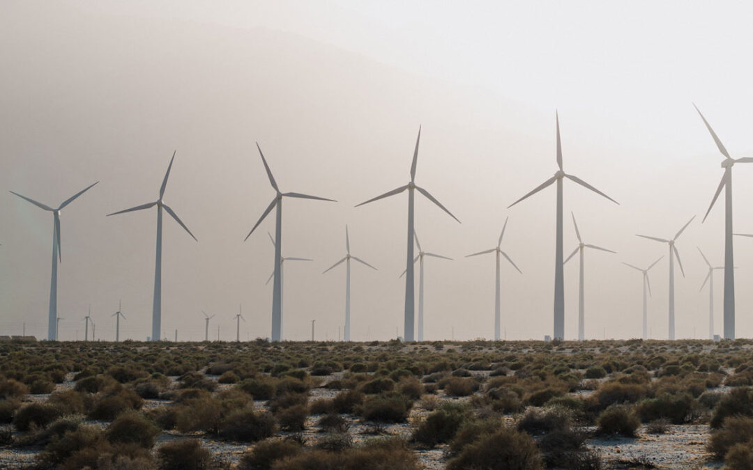 Ask Dr. Michele Anything